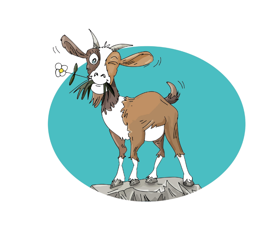 lulaonthefunnyfarm.com